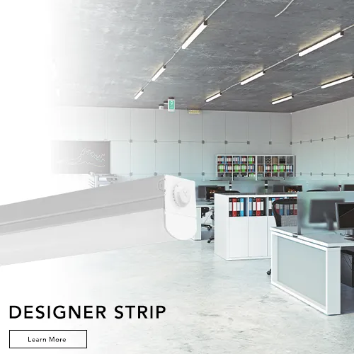Designer Strip