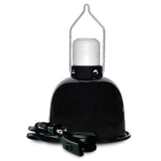 https://admin.pqlighting.com/images/bulbs/70302web.jpg