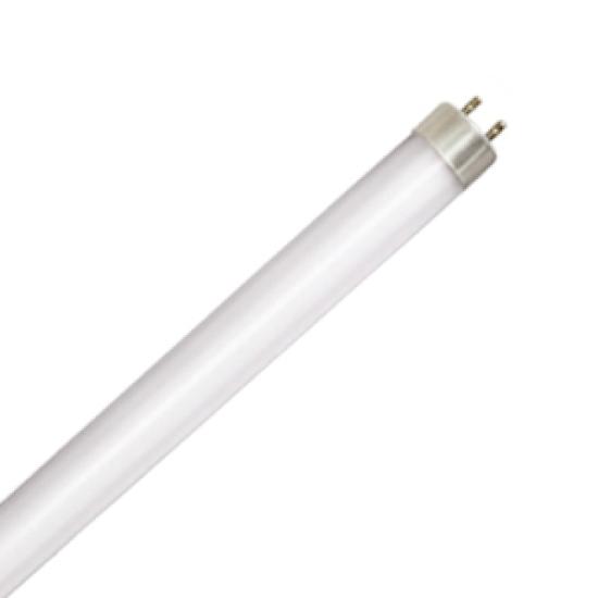 https://admin.pqlighting.com/images/bulbs/LEDT6_web.jpg